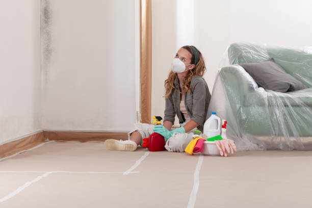 Reliable Mold Remediation contractor in Pasadena, MD by WQB Mold Removal